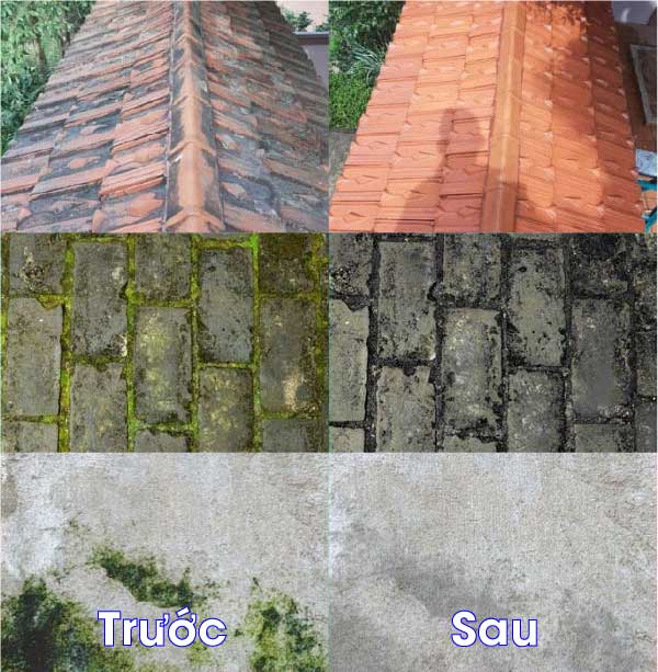 tay-rong-reu-bang-tay-rua-da-nang-nanoka