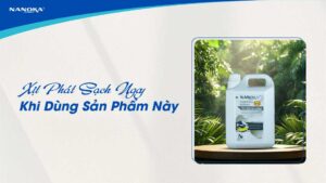 tay-rua-da-nang-nanoka